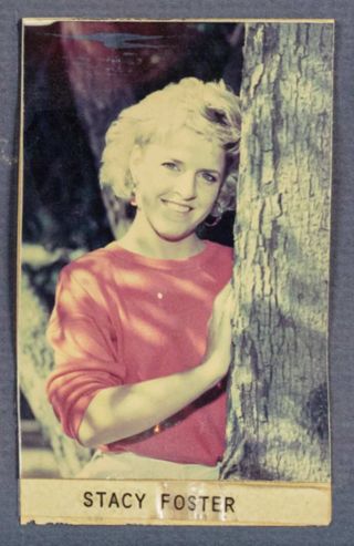 Beta Epsilon Chapter Composite Detail, Stacy Foster, 1987-1988