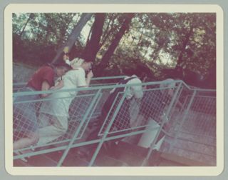 Four Alpha Phis Climbing a Staircase at Convention Photograph, 1974
