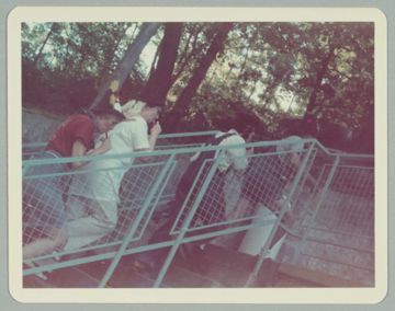 Four Alpha Phis Climbing a Staircase at Convention Photograph, 1974
