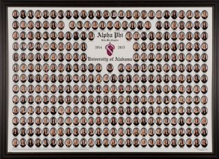 Beta Mu Chapter Composite Photograph, 2014-2015