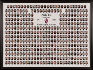 Beta Mu Chapter Composite Photograph, 2015-2016