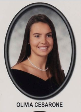 Beta Mu Chapter Composite Detail, Olivia Cesarone, 2013-2014