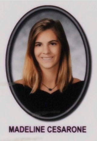 Beta Mu Chapter Composite Detail, Madeline Cesarone, 2016-2017