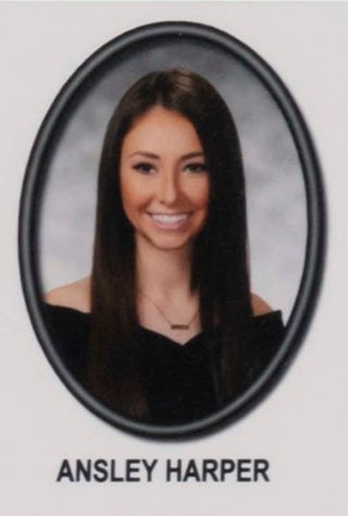 Beta Mu Chapter Composite Detail, Ansley Harper, 2017-2018