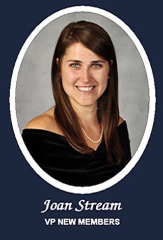 Omicron Chapter Composite Detail, Joan Stream, 2011-2012