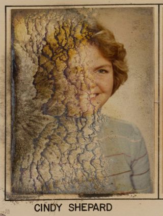 Epsilon Chi Chapter Composite Detail, Cindy Shepard, 1976