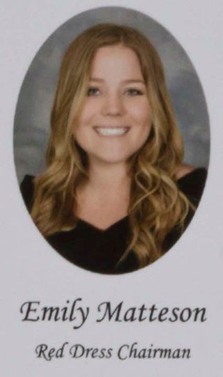 Epsilon Chi Chapter Composite Detail, Emily Matterson, 2015-2016