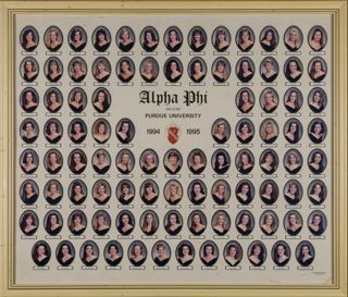 Delta Mu Chapter Composite Photograph, 1994-1995