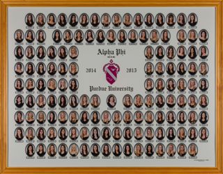Delta Mu Chapter Composite Photograph, 2014-2015