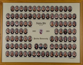 Delta Mu Chapter Composite Photograph, 2002-2003