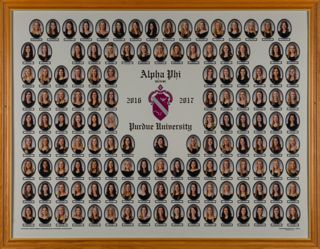 Delta Mu Chapter Composite Photograph, 2016-2017