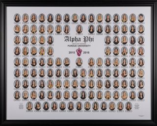 Delta Mu Chapter Composite Photograph, 2015-2016