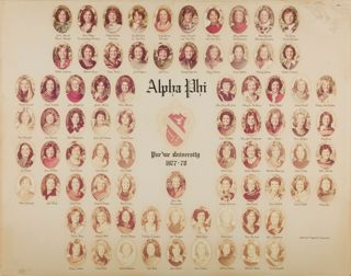 Delta Mu Chapter Composite Photograph 2, 1977-1978