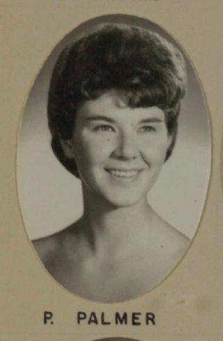 Delta Mu Chapter Composite Detail, P. Palmer, 1968