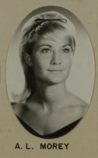 Delta Mu Chapter Composite Detail, A.L. Morey, 1968