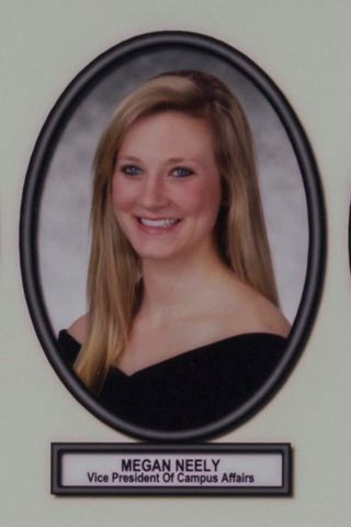 Delta Mu Chapter Composite Detail, Megan Neely, 2013-2014