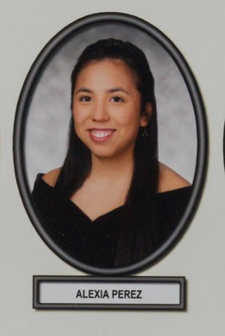 Delta Mu Chapter Composite Detail, Alexia Perez, 2014-2015