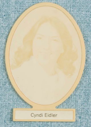 Delta Mu Chapter Composite Detail, Cyndi Eidler, 1979-1980