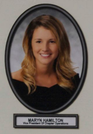 Delta Mu Chapter Composite Detail, Maryn Hamilton, 2016-2017