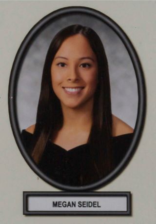 Delta Mu Chapter Composite Detail, Megan Seidel, 2016-2017