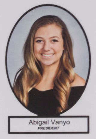 Delta Mu Chapter Composite Detail, Abigail Vanyo, 2015-2016