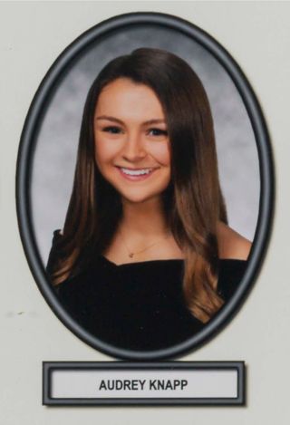 Delta Mu Chapter Composite Detail, Audrey Knapp, 2019-2020