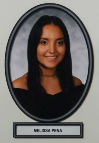 Delta Mu Chapter Composite Detail, Melissa Pena, 2019-2020