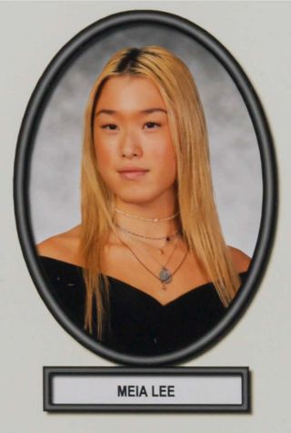 Delta Mu Chapter Composite Detail, Meia Lee, 2018-2019