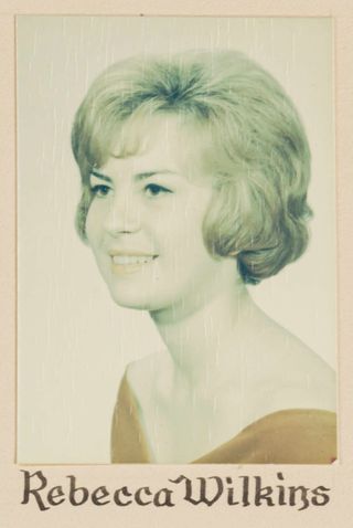 Delta Mu Chapter Composite Detail, Rebecca Wilkins, 1964
