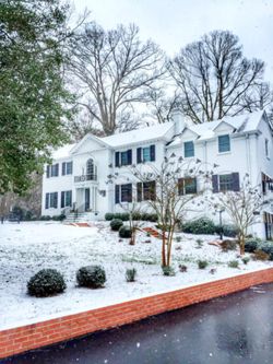 Delta Alpha-East Carolina.jpeg