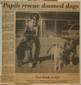 Pupils Rescue Doomed Dogs Newspaper Clipping