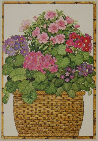 Lael Treat to Barbara Card, November 4, 1981