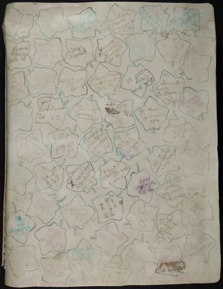 Alpha Phi Ivy League Alumnae Scrapbook, 1975-1981