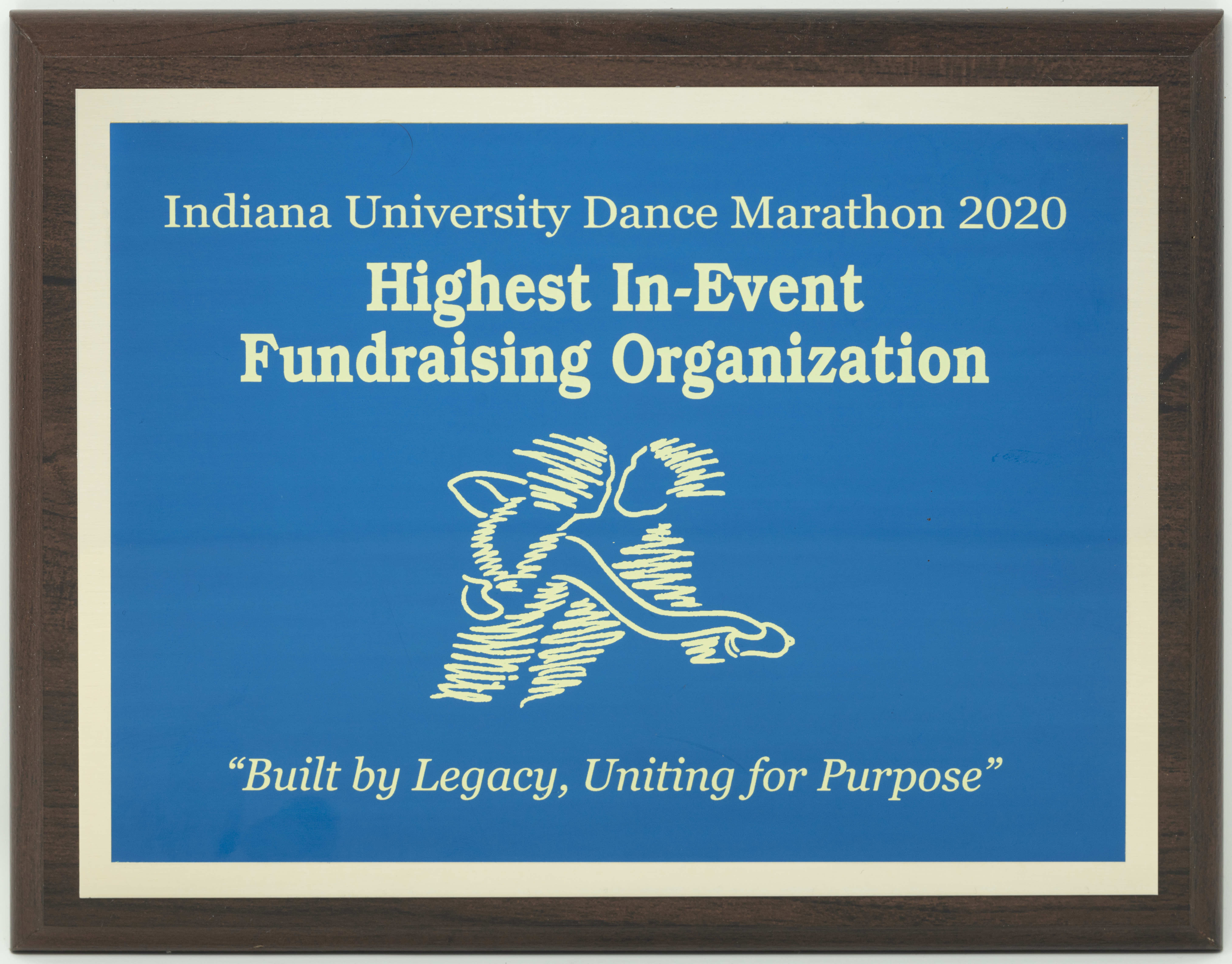 Dance Marathon Fundraising Award