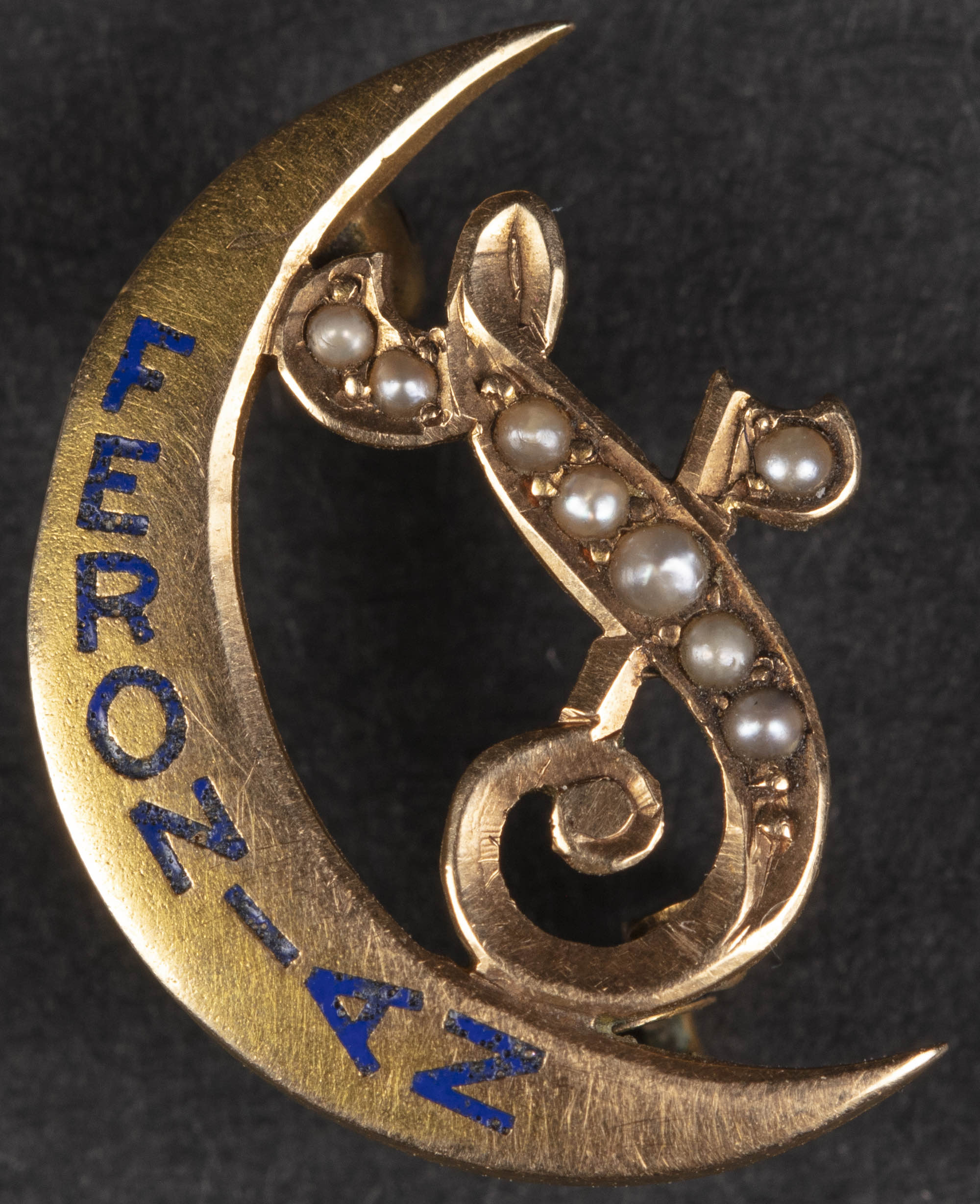 Feronian Literacy Society Established