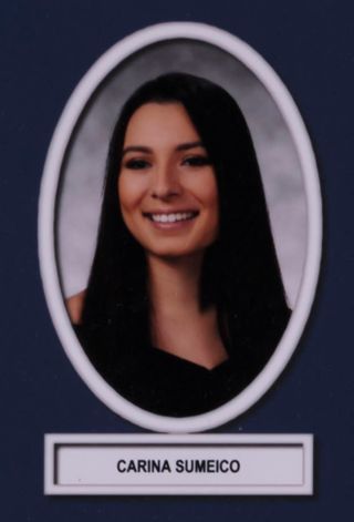 Theta Chapter Composite Detail, Carina Sumeico, 2019-2020