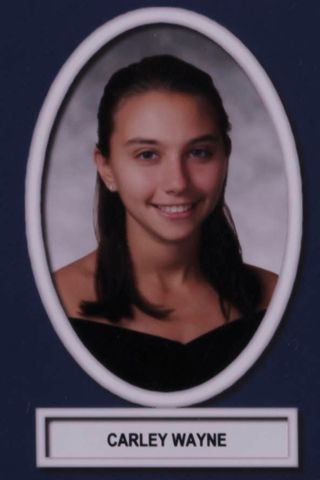 Theta Chapter Composite Detail, Carley Wayne, 2014-2015