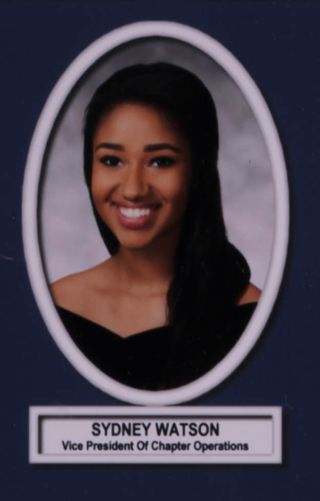 Theta Chapter Composite Detail, Sydney Watson, 2017-2018