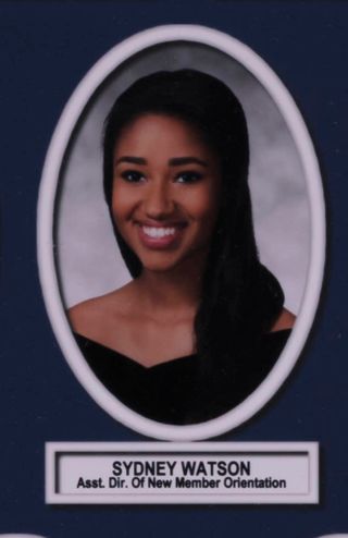 Theta Chapter Composite Detail, Sydney Watson, 2016-2017