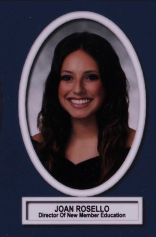 Theta Chapter Composite Detail, Joan Rosello, 2016-2017