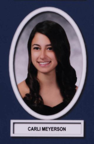 Theta Chapter Composite Detail, Carli Meyerson, 2016-2017