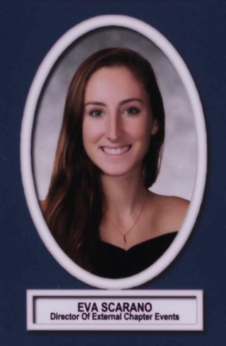 Theta Chapter Composite Detail, Eva Scarano, 2015