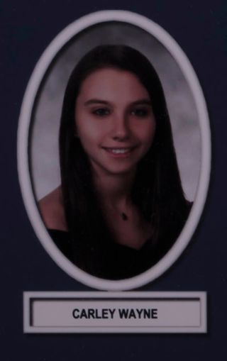 Theta Chapter Composite Detail, Carley Wayne, 2013-2014