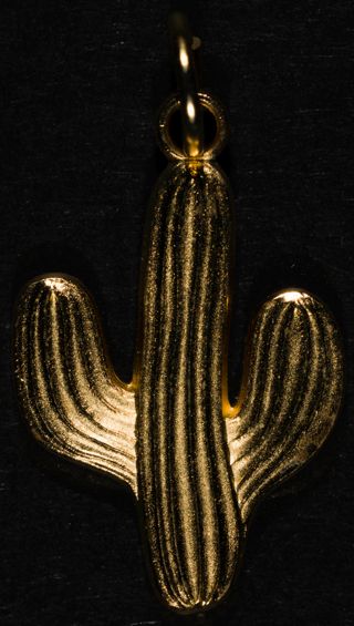 Alpha Phi Cactus Convention Charm, 2002