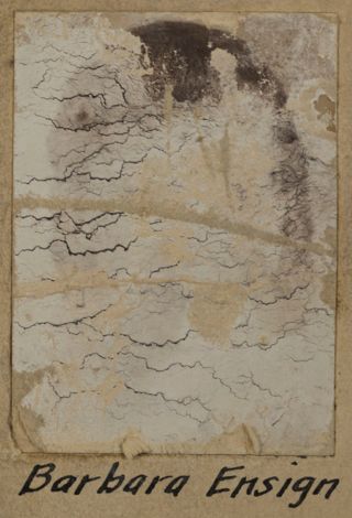 Beta Omega Chapter Composite Detail, Barbara Ensign, 1955