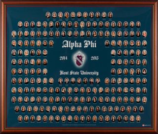 Beta Omega Chapter Composite Photograph, 2014-2015