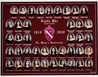 Iota Beta Chapter Composite Photograph, 2019-2020