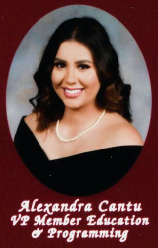 Iota Beta Chapter Composite Detail, Alexandra Cantu, 2019-2020