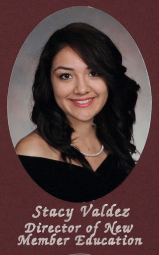 Iota Beta Chapter Composite Detail, Stacy Valdez, 2012-2013