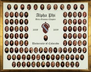 Beta Gamma Chapter Composite Photograph, 2008-2009